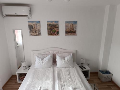 Studio Apartman ZENICA - image 12