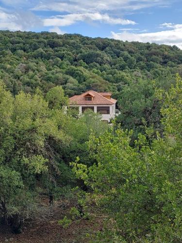 Bait Ajloun بيت عجلون 2 in อัญลูน