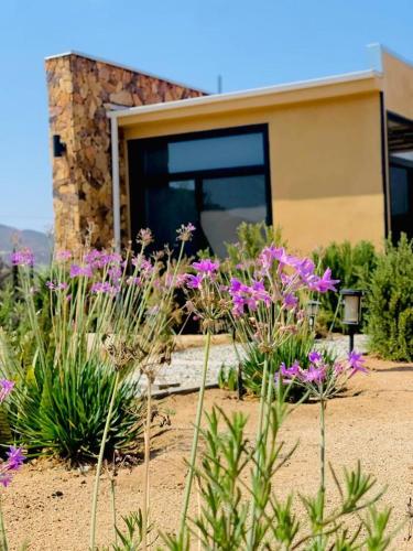 Flor de Garambullo, Valle de Guadalupe – khách sạn tại San Marcos