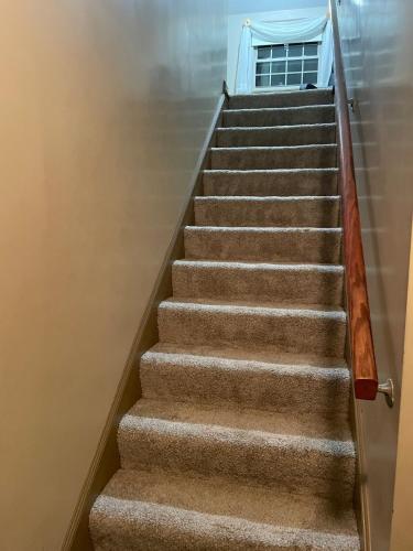 Cozy Apartment w Garage in Salem (OH)
