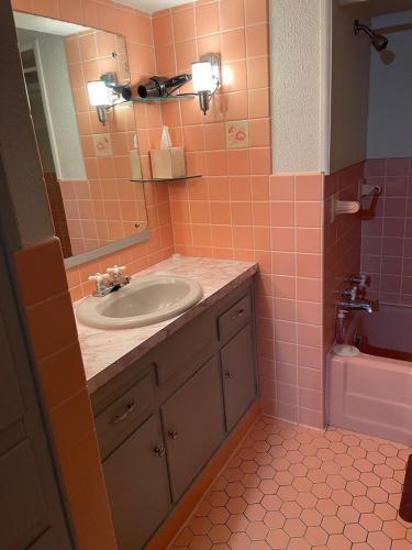 Cozy Apartment w Garage in Salem (OH)