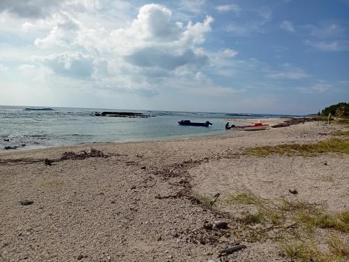 Lamkail beach island bungalow in Lenakel Tanna