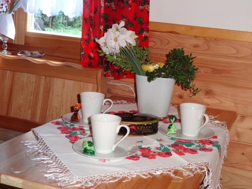 Pokoje Gościnne i Duży Domek Camp Harenda Zakopane z epickim widokiem na Tatry i Giewont, Zakopane (zdjęcie 7)