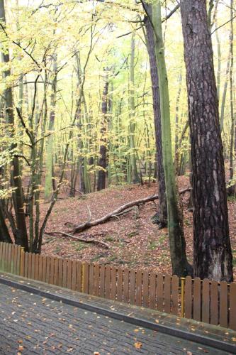 Ambiente nas Imediações, Hotel Lesny in Sopot Centrum