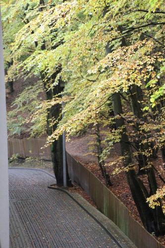 Ambiente nas Imediações, Hotel Lesny in Sopot Centrum