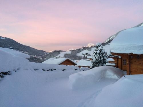 Le Chalet de Guyliane - Vue Montagne