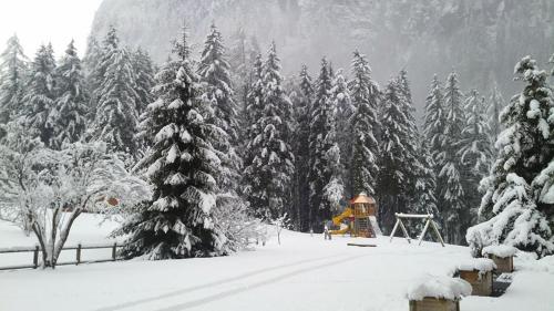 Alpenhotel Panorama - image 10