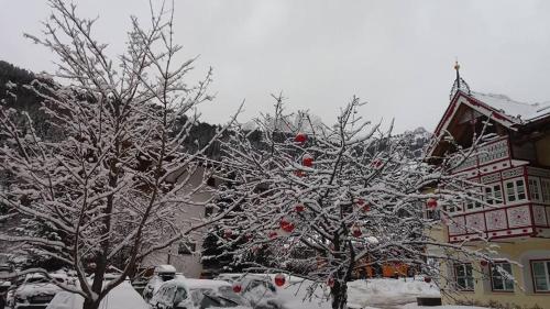 Alpenhotel Panorama - image 2