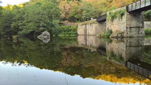 Les Fougères Du Lac