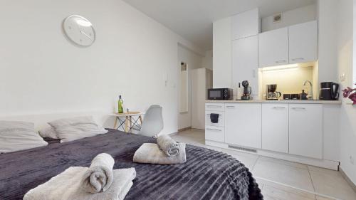 Studio Fibra Metrio - Rybnik