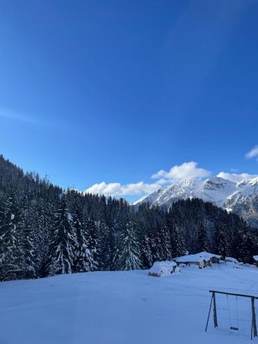 SnowNest Foppolo A pochi passi dalle piste con box in Foppolo