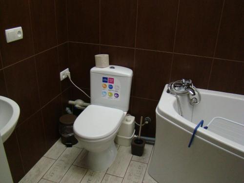 Mansard Apartment - image 7