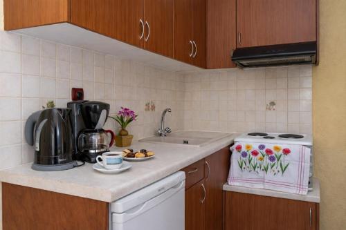 virtuve, Agali Beach Apartments Seaside Stay in Chios in Marmaro (Kardamila)