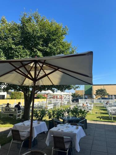 花園, 斯卡恩斯特蘭德里酒店 (Hotel Strandly Skagen) in 斯蓋恩