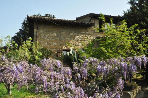 La Casa sulla Collina d'Oro - image 5