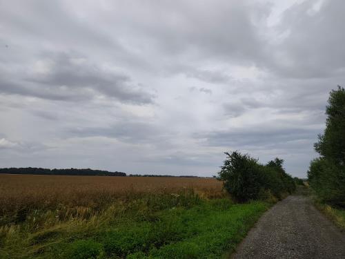 Surrounding environment, Starecek Apartment in Polanka nad Odrou