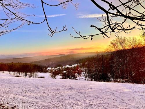 周邊環境, Schönes Zimmer mit Küche und Bad im Taunus (Schones Zimmer mit Kuche und Bad im Taunus) in 格雷芬維斯巴赫