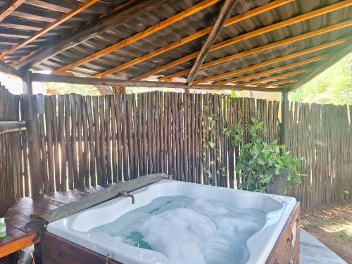 Marloth Wild Fig Studio - Kruger National Park Marloth Wild Fig Studio - Kruger National Park
