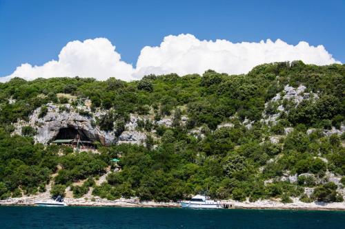 Apartments in Rovinj - Istrien 11528 in 蒙塞納