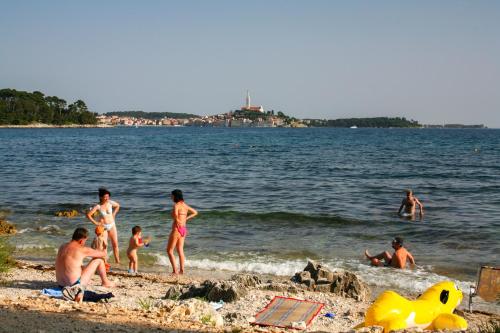 Apartments in Rovinj - Istrien 11528 in 蒙塞納