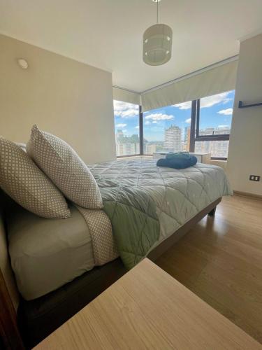 Quédate en el corazón de Temuco