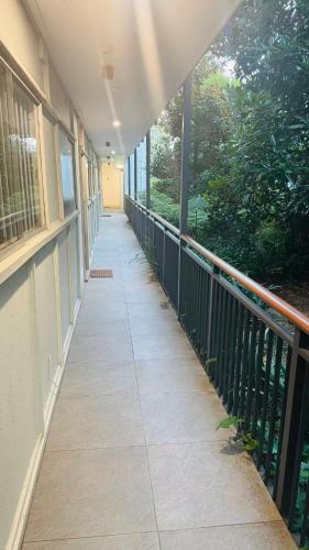 Sunny 1BR cozy apartment Parkside and Harbourside in Bellevue Hill