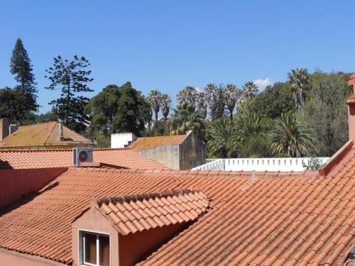 Setubalense - image 6