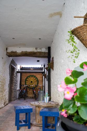 Entrance, The Black Sheep Hostel in Killarney