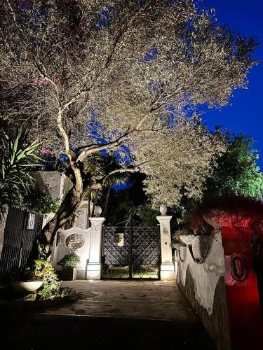 CASA SOFIA - Isola di Capri