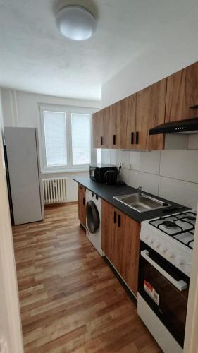 Apartmán pro 4 osoby, Bukovany B1 (Apartman pro 4 osoby, Bukovany B1) in Svatava