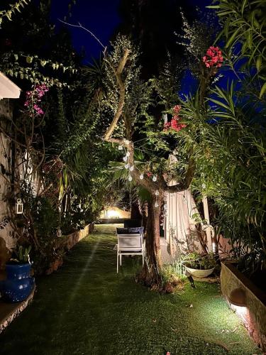 CASA SOFIA 4