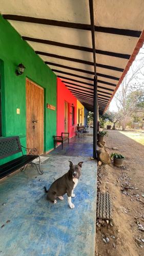 Posada Colonial in 巴基西梅托