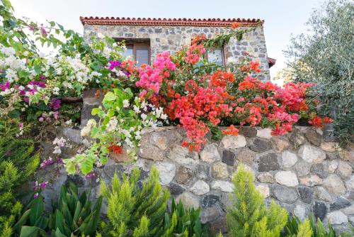  Karaburun Bahçe in 35960 Karaburun
