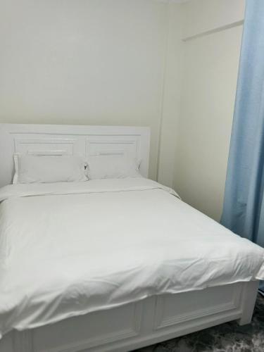Kibali properties in Ruaka