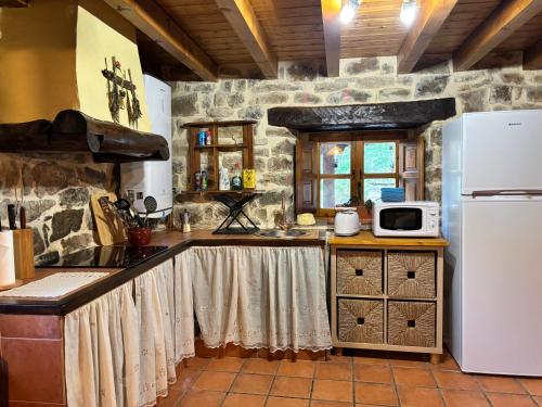 virtuve, Cabaña Los Picones (Cabana Los Picones) in Valvanuz