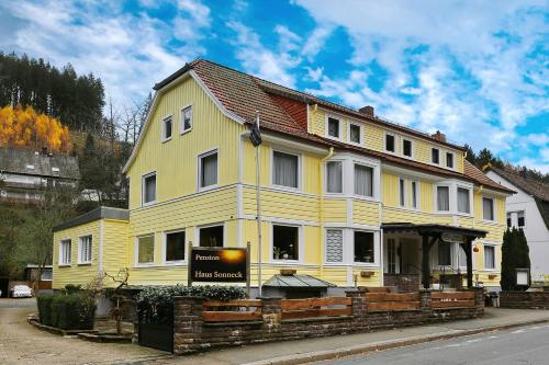 Pension Haus Sonneck in Wildemann, Deutschland