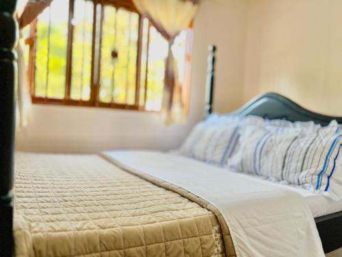 Smick palmisland Beach in Mukono