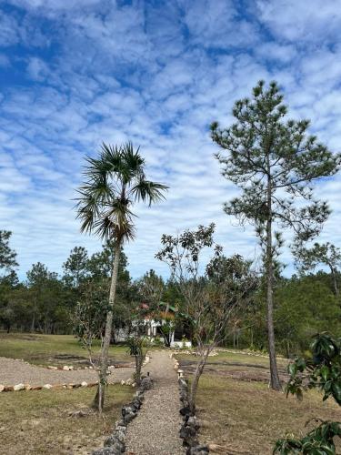 Pine Ridge Lodge Belize in Blancaneau