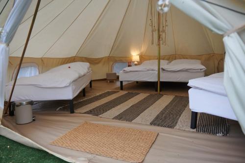 Chill Camp in Gevartuva