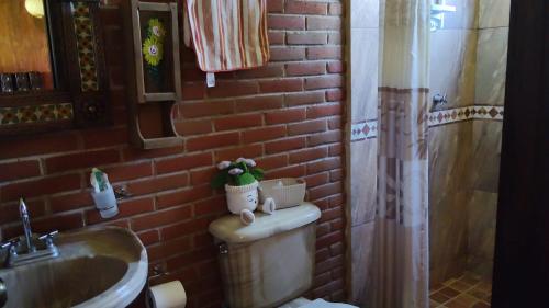 Duša, Cabaña Vicani (Cabana Vicani) in Atzingo