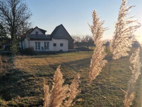 Ferienwohnung Weitblick Abendlicht in Neusitz, Deutschland