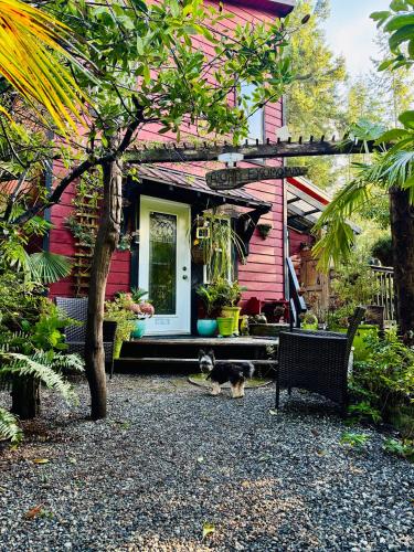 Entrance, Magnolia Petal Accommodation in Fernwood