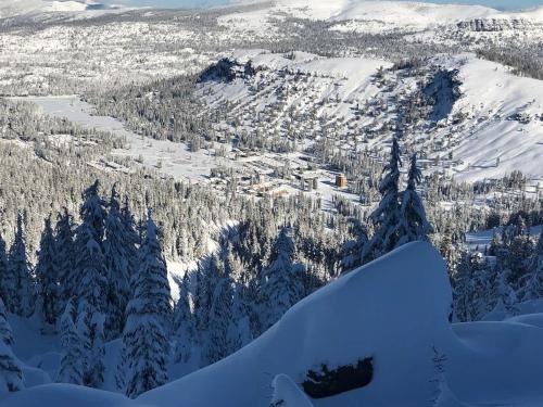 Ski in out King bed Suite Mountain View in Kirkwood (CA)