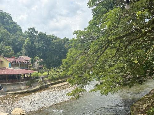 JUNGLE LIFE GUEST HOUSE - Trekking & Transport Only Book With Us in Bukit Lawang