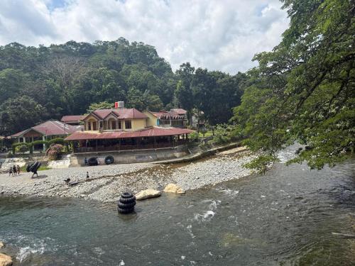 JUNGLE LIFE GUEST HOUSE - Trekking & Transport Only Book With Us in Bukit Lawang