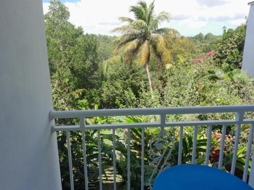 LE VERDOYANT in Sainte Anne