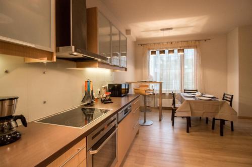 Old Riga Galleria Apartment, Riga (foto 11)