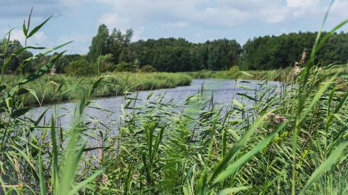 Місця відпочинку та розваги, ANKERPLATZ DAHME - Das kleine Ostseeparadies in Даме