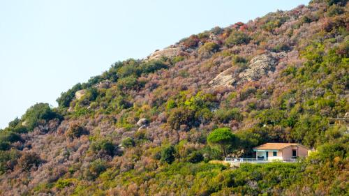 Villino Forno - image 3