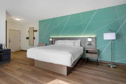 Holiday Inn Express Hotel & Suites Buford-Mall Of Georgia an IHG Hotel - image 18